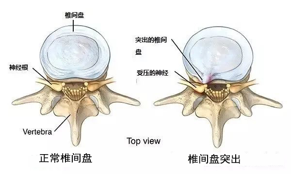 微信圖片_20230103104827.jpg